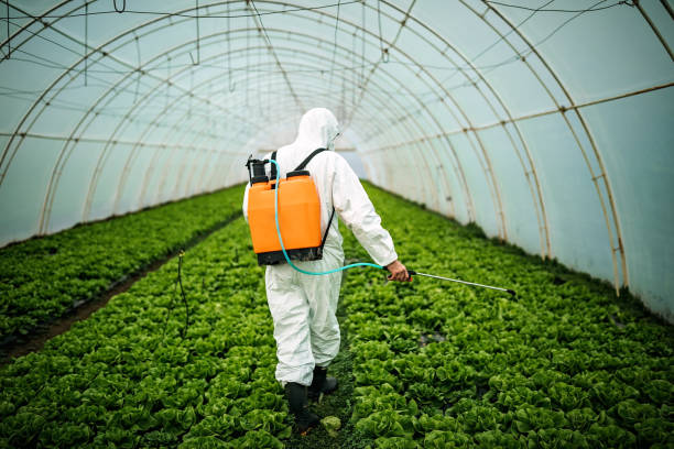 Best Best Pest Control Companies  in Palos Heights, IL