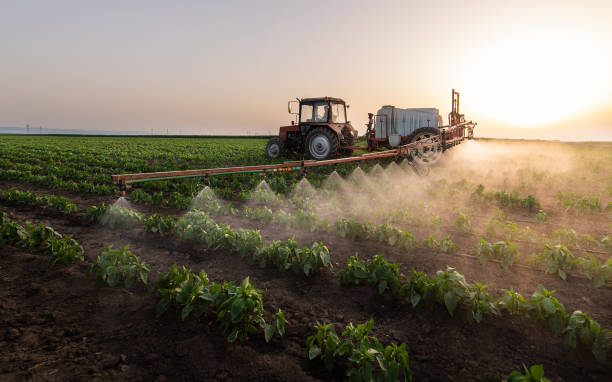 Best Insect Control  in Palos Heights, IL