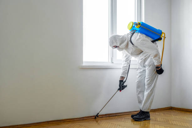 Best Mosquito Control Services  in Palos Heights, IL