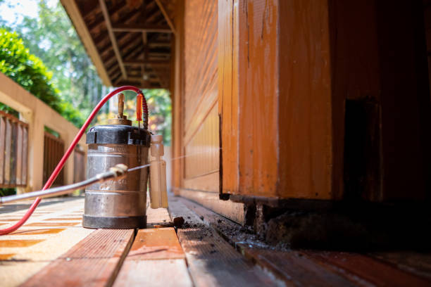 Best Exterminator Services  in Palos Heights, IL