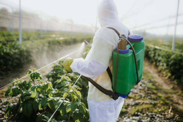 Best Affordable Pest Control Services  in Palos Heights, IL